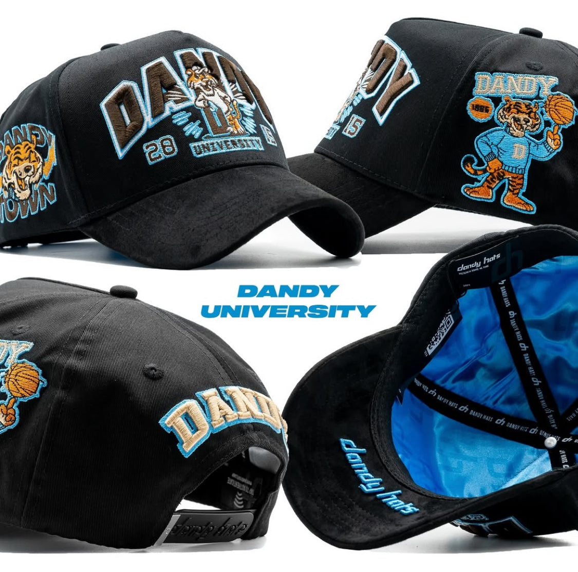 DANDY
UNIVERSITY